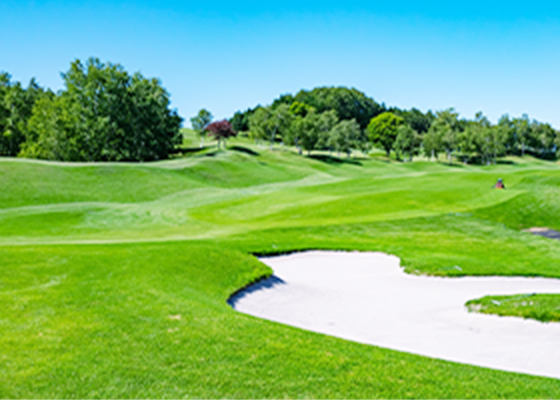 Golf Course